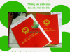 Những lưu ý khi mua bán nhà đất lần đầu 