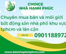 THỊ TRƯỜNG BĐS THANH LỌC , BẤT ĐỘNG SẢN THỰC THU HÚT NGƯỜI MUA